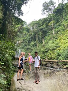 Waterfall2